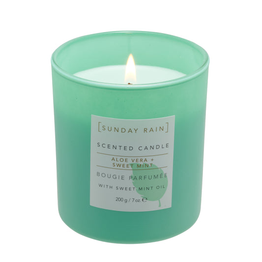 Sunday Rain Aloe & Sweet Mint Candle