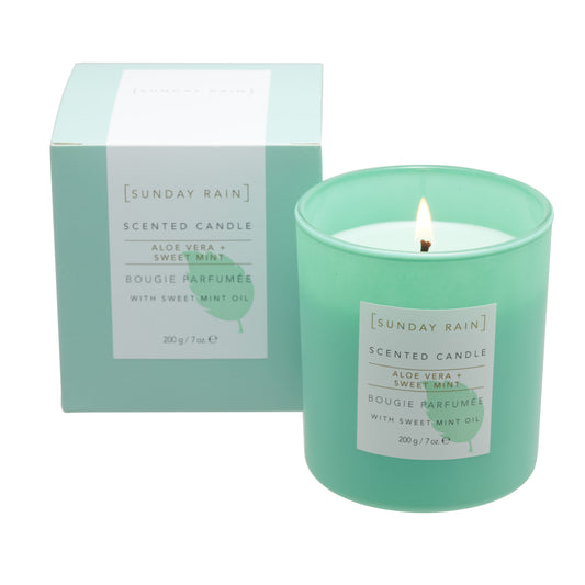 Sunday Rain Aloe & Sweet Mint Candle