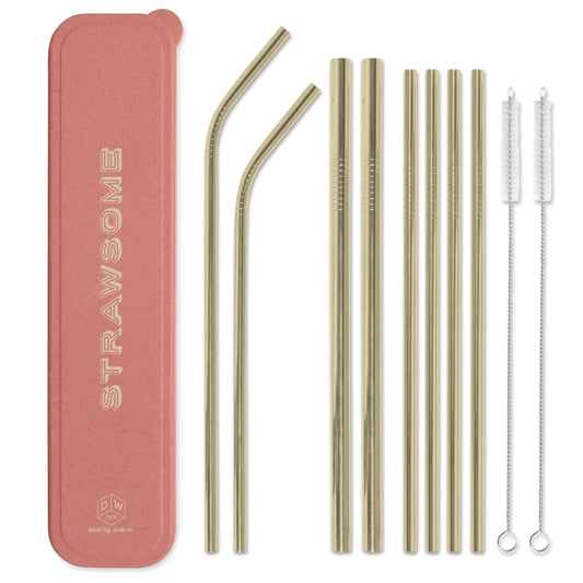 10 Piece Strawsome Stainless Steel Straw Set