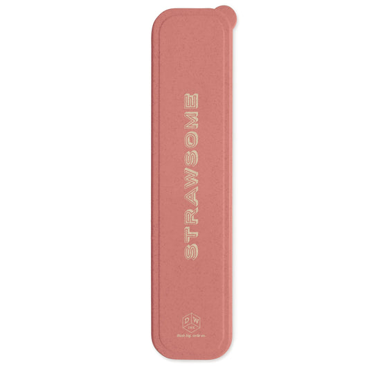 10 Piece Strawsome Stainless Steel Straw Set