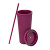 Sippy 24 oz Plastic Cup - Burgundy