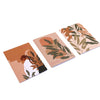 Set of 3 B5 Retreat Notebooks