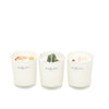 The 'Manifest' Crystal Candle Trio