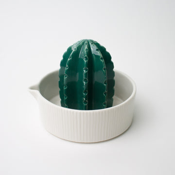 Ceramic Juicer