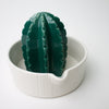 Ceramic Juicer