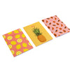 Set of 3 B5 Tutti Frutti Notebooks
