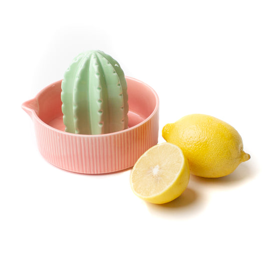 Ceramic Juicer