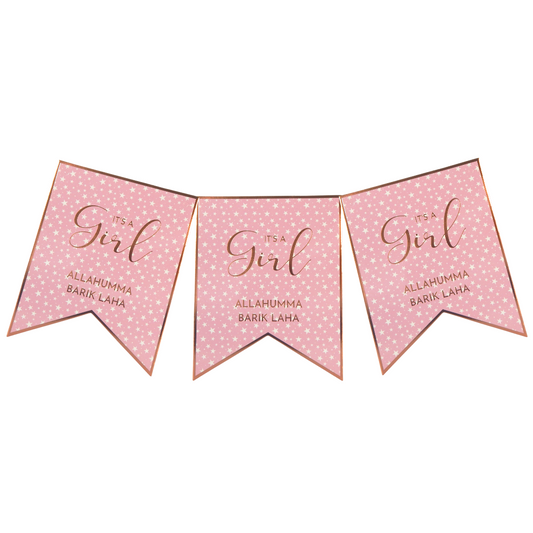 Baby Girl Banner