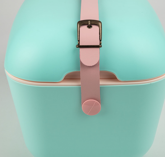Cyan Cooler Box with Baby Rose Strap Colour Pop - 20L