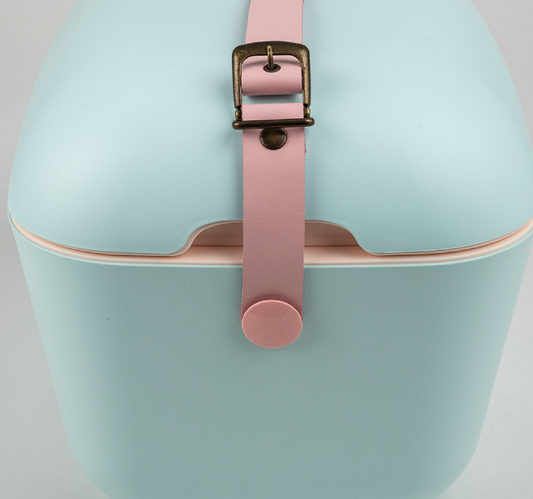 Sky Blue Cooler Box with Baby Rose Strap Colour Pop - 20L