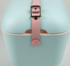 Sky Blue Cooler Box with Baby Rose Strap Colour Pop - 20L