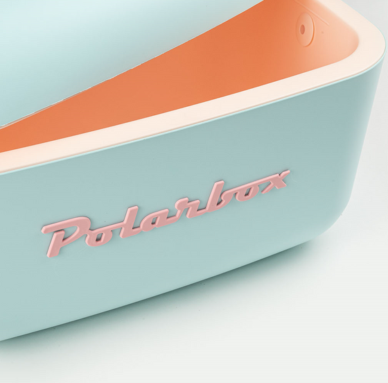Sky Blue Cooler Box with Baby Rose Strap Colour Pop - 20L